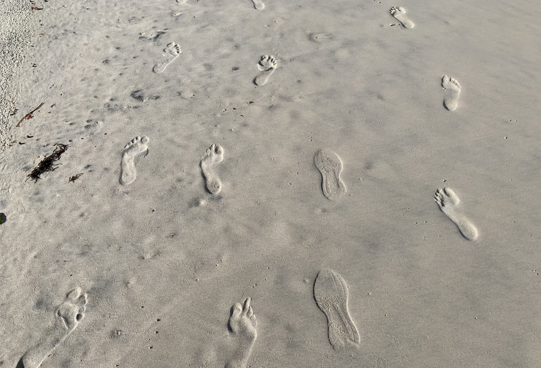Footprints leading away for you in the sand on a beach near the waters edge. Some of the prints are made by bare feet but one set has been made by a jogger wearing sneakers